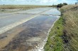 marais salant 3