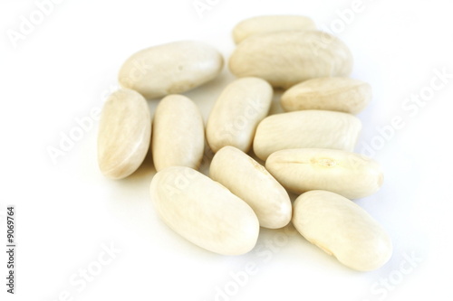 Photo: White beans (cannellini beans) over white background White beans (cannellini beans) over white background