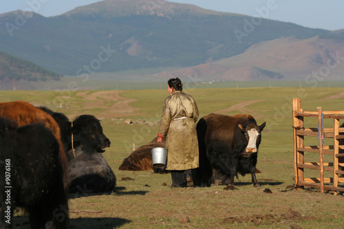 Photo: Elevage de yacks en mongolie Elevage de yacks en mongolie