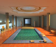luxury spa interior ( 3d rendering )