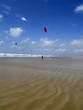 Kite