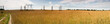 Russia summer landscape - fileds, sky and electric columns Russia summer landscape - fileds, sky and electric columns