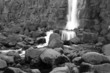 Rocky waterfalll in black and white.