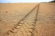 Foto: car tracks in the sand car tracks in the sand