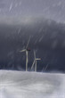 Windmills in a snow storm