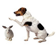 Chienlapin