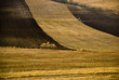 lavoro agricolo lavoro agricolo