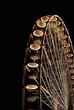 Big wheel