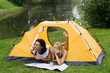 Couple in tent