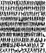 Women Collection - 233 silhouette