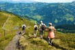 Senioren auf einer Wanderung in den Alpen