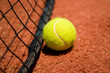 Tennis ball on the court