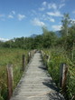 chemin sur pilotis au marais de Lavour