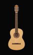 acoustic guitar