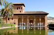 palais nasride