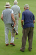 Males playing bowls