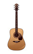 acoustic guitar