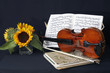 Stillleben mit Violine