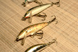 minnows