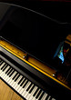 Closeup of Grand Piano Keys
