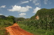 The Vinales Valley