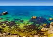 A reef in the ocean
