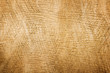 bark texture with some spots on it