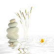 Zen Tranquility