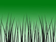 Illustration: background background
