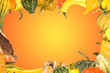 Border frame made of assorted gourds for thanksgiving