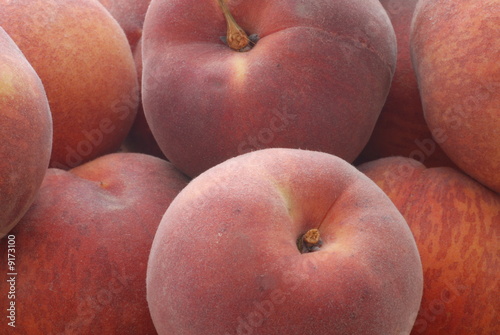 pesche pesche