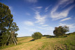 Jagdstand im Holzland