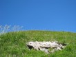 Montagne nature