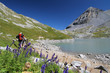 randonneurs dans les alpes