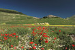 CASTELLUCCIO DI NORCIA