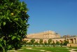 l'orangerie du château de Versailles