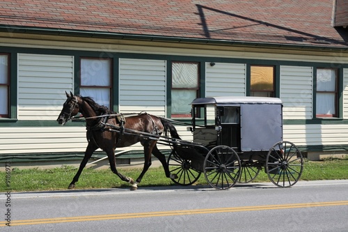 Photo: buggy buggy