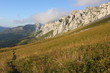 Ranc des agnelons 78