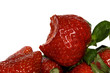 Fresas