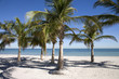 Usa. Florida. Miami. Kery Byscaine. Crandon Beach.