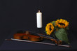 Stillleben mit Violine