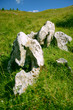 Natural sculpture