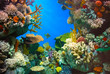 Fondo marino