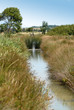 fossé de marais vendéen