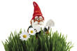 Garden gnome with spade, grass in foreground