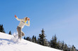 Woman snowshoeing in mountains