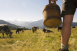 Farmer on pasture, low section