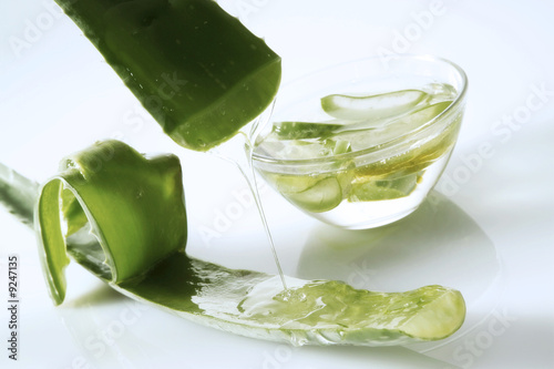 Photo: Gel from Aloe leaf Gel from Aloe leaf