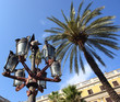 Lantern And Palm.