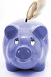 piggy bank